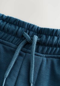 Shorts de sport teal avec une taille élastique et un cordon de serrage en tresse ; tissu lisse et texturé ; comprend des poches latérales et une coupe décontractée.