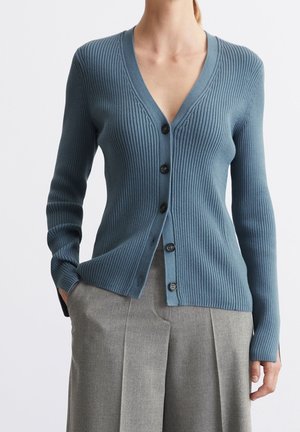 Cardigan - blue