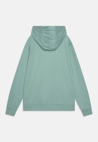Hooded sweatshirt in light mint green, featuring a relaxed fit, soft texture, and ribbed cuffs and hem for a snug finish.