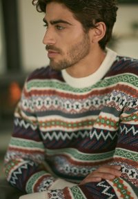 Next FIT FAIRISLE PATTERN  - Striktrøje - multi ecru cream