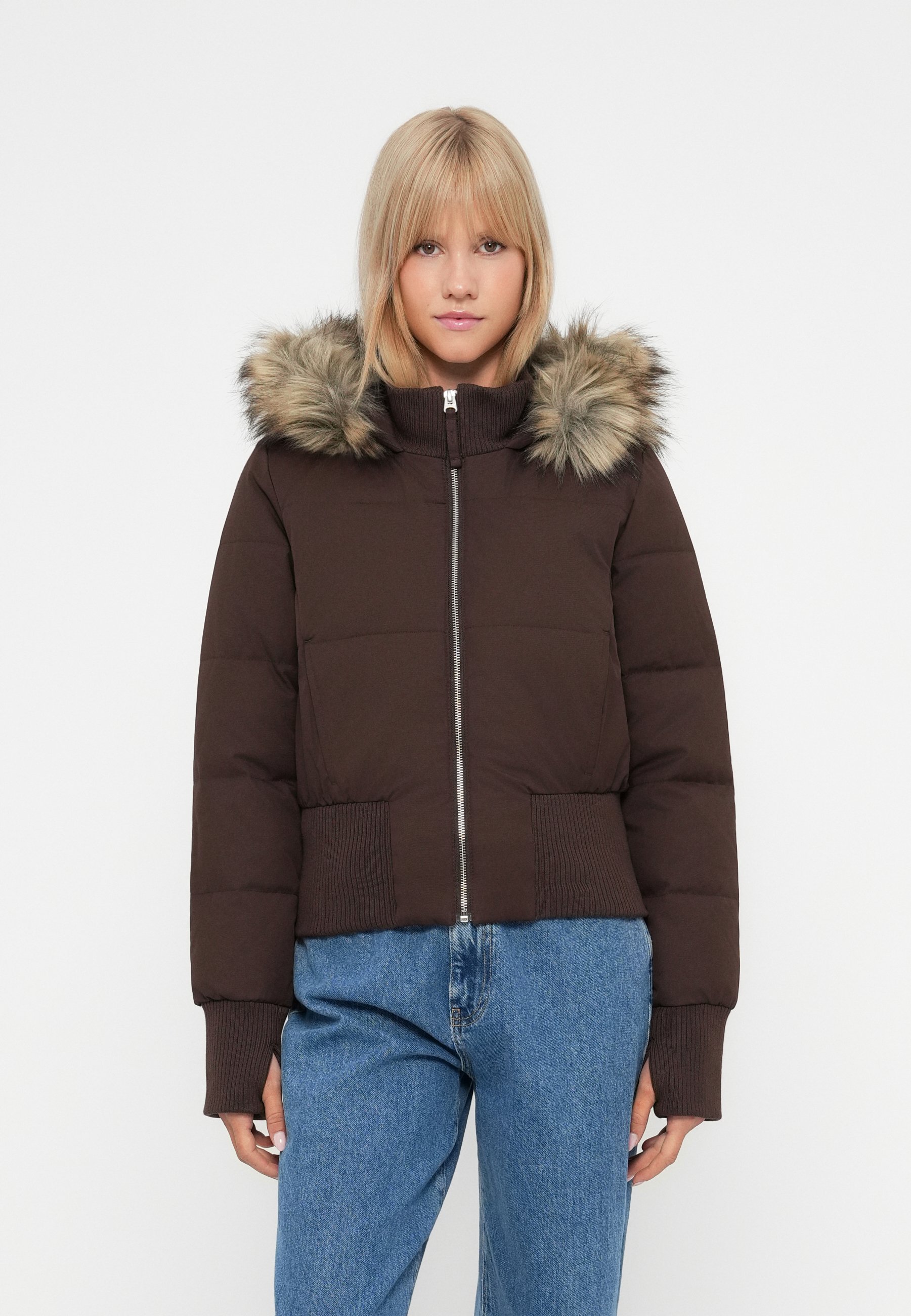 Hollister Co. Winter jacket - brown - Zalando