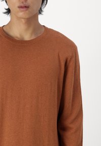 Mężczyzna w jednolitym brązowym swetrze z długim rękawem, widoczny od szyi do połowy torsu, na białym tle.