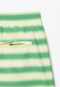 Pantalones cortos a rayas verdes y crema con cinturilla elástica y un bolsillo con cremallera segura. Textura de tela suave con un diseño atlético.