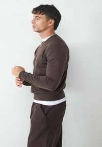Brauner Strickpullover mit Rundhalsausschnitt, gerippten Bündchen und Saum, kombiniert mit dunklen Hosen. Kurzärmlig über einem weißen T-Shirt.