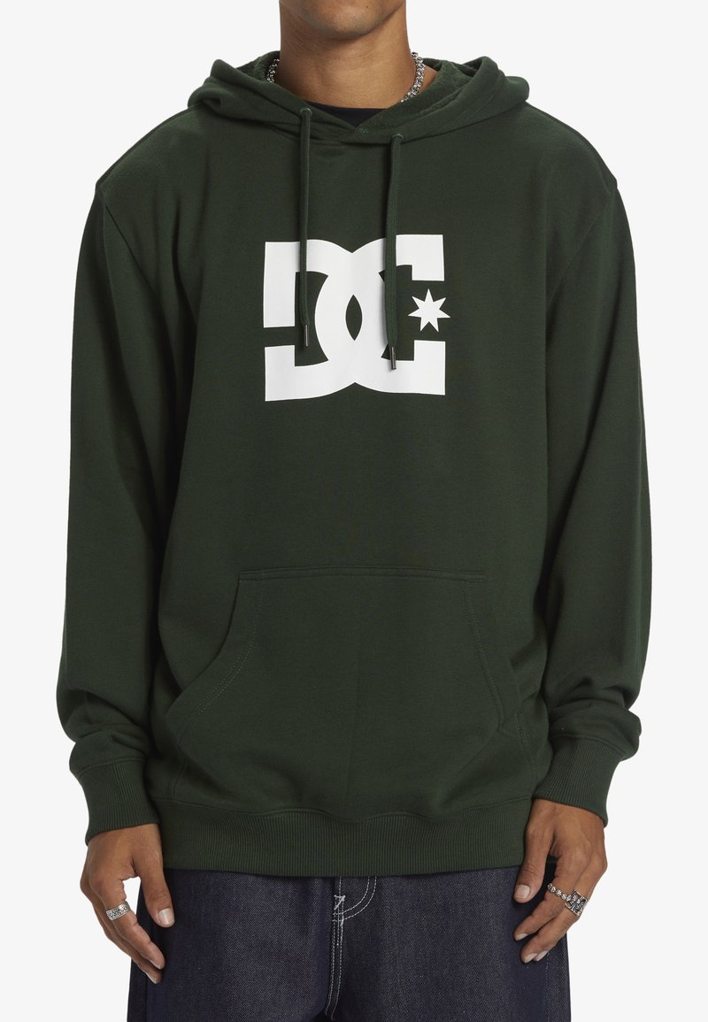DC Shoes STAR PH - Jersey con capucha - gzh0 mountain view