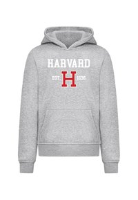 Felpa grigia con tasca frontale, caratterizzata dalla scritta "HARVARD" e da un logo "H" in rosso. "EST. 1636" stampato sotto in bianco. Materiale in cotone morbido.