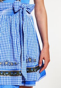 Blå och vit rutigt förkläde med ett band i knytning, prydt med blomsterbroderier och dekorativt kant längs fållen. Prickig underdel synlig.