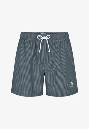 Herren-Badeshorts aus leichtem Stoff, mit vertikalen dunkelgrauen und hellblauen Streifen, einem elastischen Bund und einem Kordelzug.