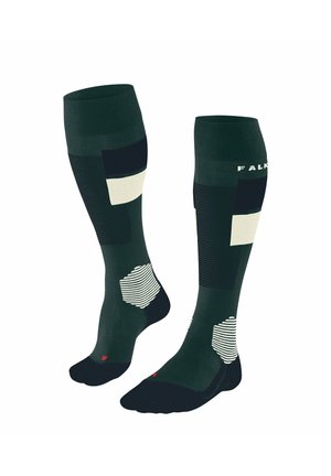 SK4 ADVANCED - Kniekousen - holly