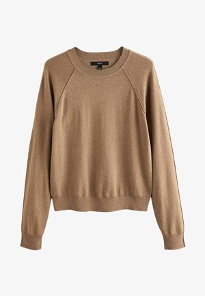 Brown knit sweatshirt with a crew neckline, raglan sleeves, and ribbed cuffs and hem. Smooth texture, casual fit, and minimal detailing.