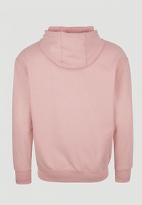 Roze katoenen hoodie met een zachte textuur, voorzien van een capuchon met trekkoord, lange mouwen en geribbelde boorden en zoom. Achteraanzicht weergegeven.