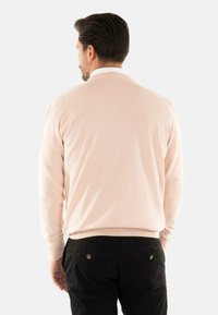 Pullover sweater lavorato a maglia di un leggero rosa con maniche lunghe, polsini e orlo a coste, indossato sopra pantaloni scuri. La vista posteriore mostra un design semplice senza motivi.