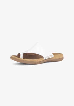 Gabor, Mules - latte