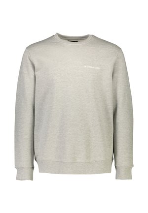 Gray sweatshirt with a crew neck and long sleeves. Features a soft texture and a small white logo on the chest. Standard fit.