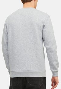 Grijze sweatshirt met lange mouwen, ronde halslijn en ribgebreide manchetten en zoom. Gemaakt van zachte stof met een textuurafwerking.