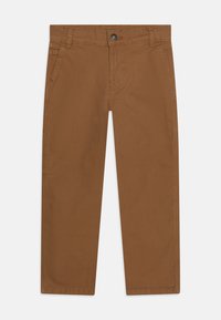 Ei valittu, brown duck