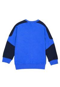 Felpa blu con accenti blu navy sulle spalle e sulle maniche. Presenta un classico colletto tondo e polsini a coste. Tessuto morbido, design casual.