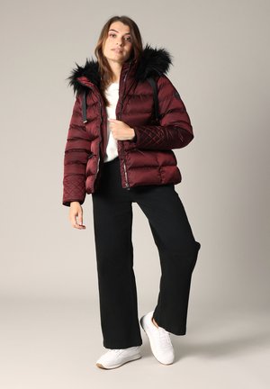 GINNIE - Veste d'hiver - Burgundy