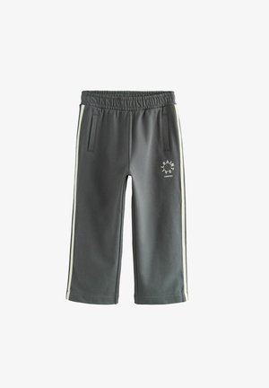 REGULAR FIT - TIERRA LOGO WIDE LEG - Donji dijelovi trenirke - charcoal grey