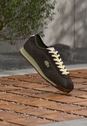 CLUB 126 - Sneakers basse - dark brown