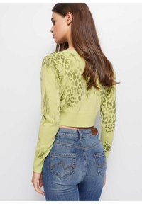 Afgeknotte gebreide trui in lichtgroen met luipaardprintaccenten, voorzien van lange mouwen en een geribde zoom, gecombineerd met blauwe denim jeans.