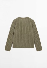 Olive green knitted sweater with a ribbed texture, round neckline, and long sleeves. Features a cable knit pattern, back view.