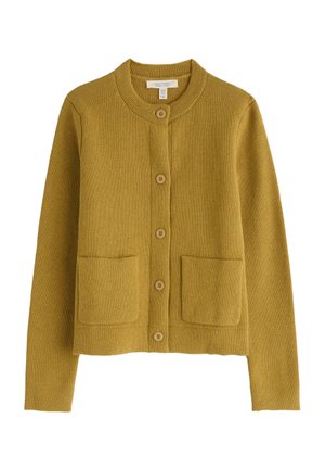 Seasalt Cornwall ROCK - Cardigan - yellow - pear