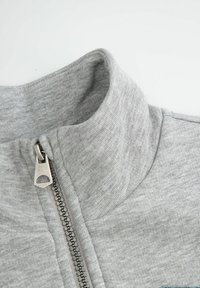 Szary kaptur z zamkiem błyskawicznym, z metalowym suwakiem, z teksturowanej tkaniny i gładkiego dzianiny. Brak widocznych wzorów lub akcentów.