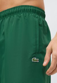 Πράσινα σορτς κατασκευασμένα από ελαφρύ ύφασμα με ελαστική μέση. Διαθέτουν πλαϊνές τσέπες και ένα μικρό κεντημένο λογότυπο κροκοδείλου.