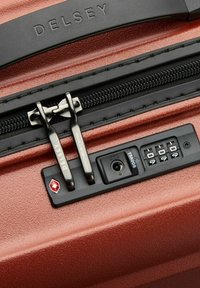 Delsey Paris Valise à roulettes - backstein