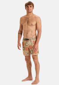 Quiksilver SURF STRAIGHT VOLLEY - Badeshorts - cjz