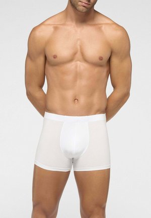Modello maschile in forma con torso muscoloso che indossa boxer bianchi semplici, in piedi con le braccia dietro la schiena su uno sfondo chiaro.