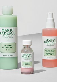 Mario Badescu FACIAL SPRAY ALOE, HERBS & ROSEWATER - Setting Spray & Powder