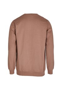 Brown sweatshirt with long sleeves, round neck, and a soft cotton texture. Features a simple design and no visible logos or patterns.