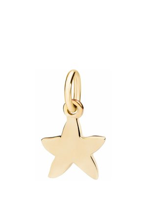 Goldener sternförmiger Anhänger mit einer kleinen Schlaufe zum Befestigen an einem Armband oder einer Halskette, polierte glatte Oberfläche, die Licht reflektiert.