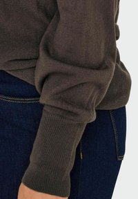 ONLY Carmakoma CARAIDA - Pulover - chocolate brown
