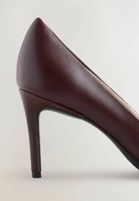 Scarpa con tacco alto in pelle borgogna, con punta affusolata, design elegante e tacco nero sottile. Texture liscia e dettagli hardware minimi.