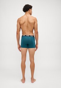Puma MEN EVERYDAY 3 PACK - Bokserbriefs - green combo
