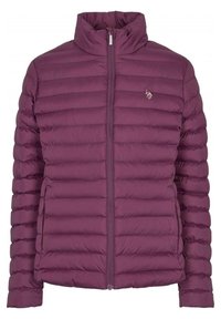 U.S. Polo Assn. Winter jacket - bordeaux
