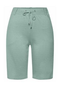 Shorts vert menthe en tissu doux, dotés d'une taille ajustable avec cordon de serrage, d'une coupe décontractée avec jambe droite et sans motifs.