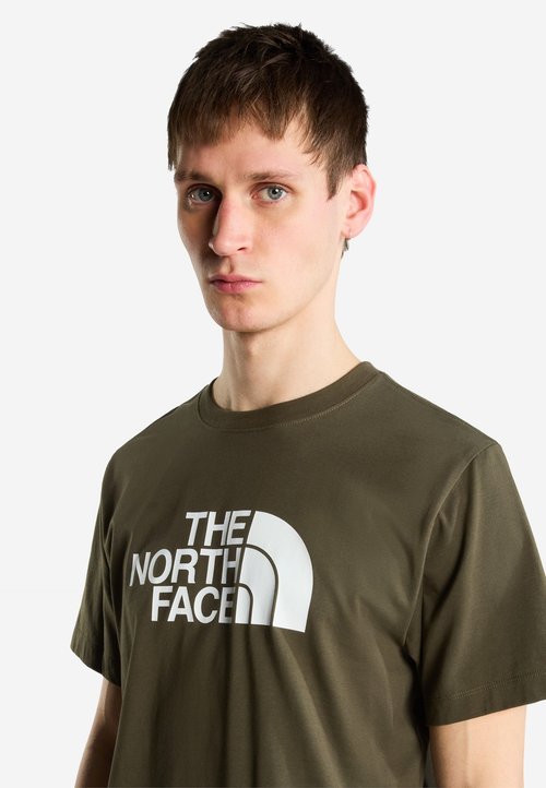 The North Face M EVOLUTION HALF DOME REGULAR SHORT SLEEVE TEE - Sports T-shirt - new taupe green — foto 4