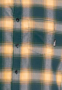 Jack Wolfskin WANDERWEG - Camicia - teal