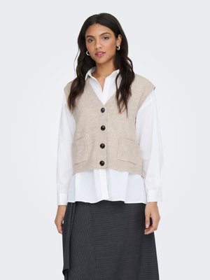 Mujer con chaleco de punto beige abotonado sobre camisa blanca con cuello y falda gris oscuro a rayas finas sobre fondo liso.