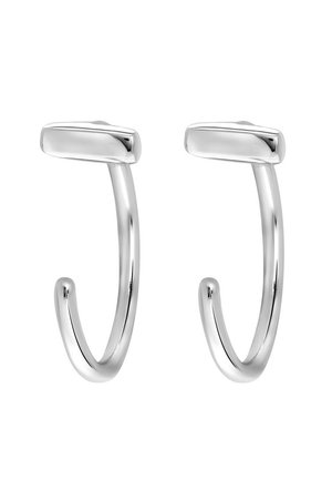 Zilveren metalen haken met een gladde, glanzende afwerking. Elke haak heeft een ovale top en een gebogen, taps toelopende vorm, geschikt voor het ophangen van voorwerpen.