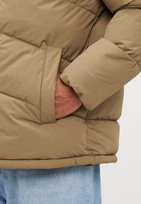 Jack & Jones JJWORLD PUFFER JACKET  - Winter jacket - elmwood