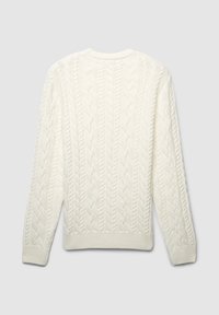 Cremfarbener Strickpullover mit einem strukturierten Zopfmuster, rundem Ausschnitt und gerippten Bündchen und Saum. Rückansicht gezeigt.