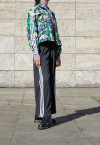 adidas Originals Träningsjacka - multi-coloured