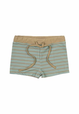 AOP - Swimming shorts - green bay