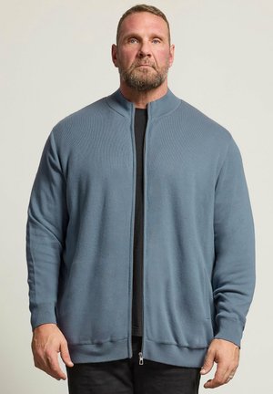 Bearded man wearing a blue zip-up cardigan over a black shirt, standing with arms relaxed against a plain light background.