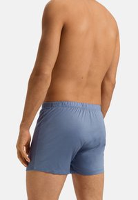 Blå, lättviktiga kalsonger med elastisk midja, slät textur och en åtsittande design. Synlig sömdetalj längs fållen.
